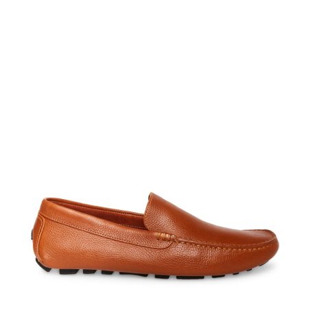 Loafers Steve Madden Bergamo Cuero Hombre Marrones | ES JME690